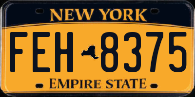 NY license plate FEH8375