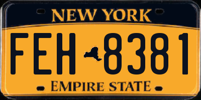 NY license plate FEH8381