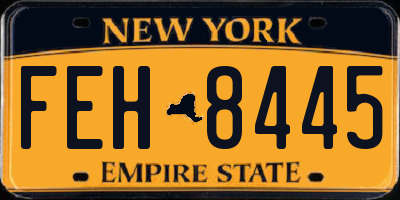 NY license plate FEH8445