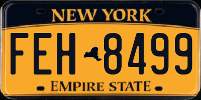 NY license plate FEH8499