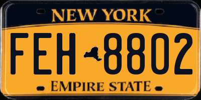 NY license plate FEH8802