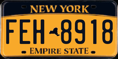 NY license plate FEH8918