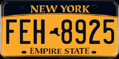 NY license plate FEH8925