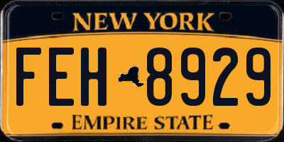 NY license plate FEH8929