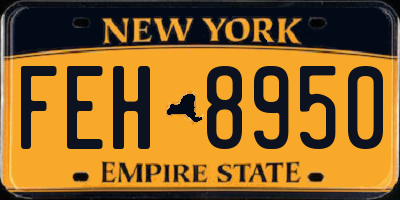 NY license plate FEH8950