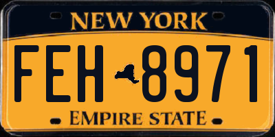 NY license plate FEH8971