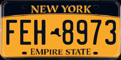 NY license plate FEH8973