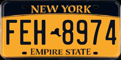 NY license plate FEH8974