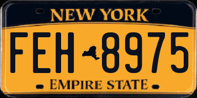 NY license plate FEH8975