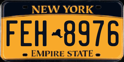 NY license plate FEH8976
