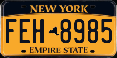 NY license plate FEH8985
