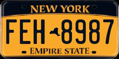 NY license plate FEH8987