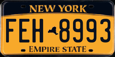 NY license plate FEH8993