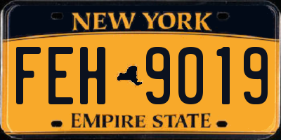 NY license plate FEH9019