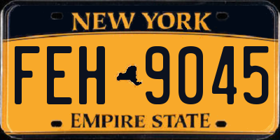 NY license plate FEH9045