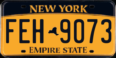NY license plate FEH9073