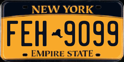 NY license plate FEH9099
