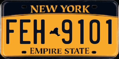 NY license plate FEH9101