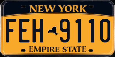 NY license plate FEH9110