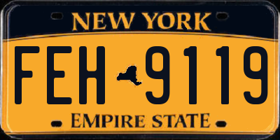 NY license plate FEH9119