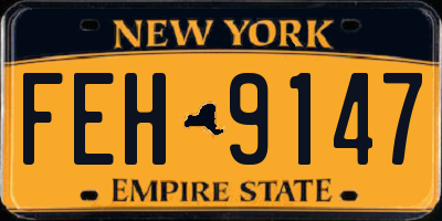 NY license plate FEH9147