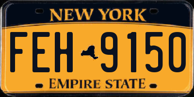 NY license plate FEH9150