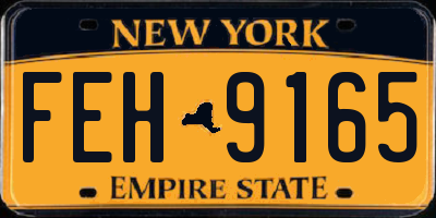 NY license plate FEH9165