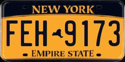 NY license plate FEH9173
