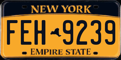 NY license plate FEH9239