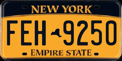 NY license plate FEH9250