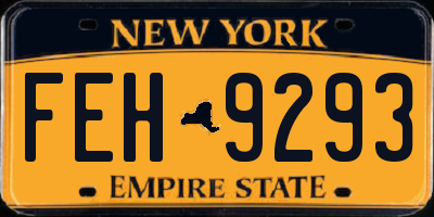 NY license plate FEH9293