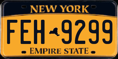 NY license plate FEH9299