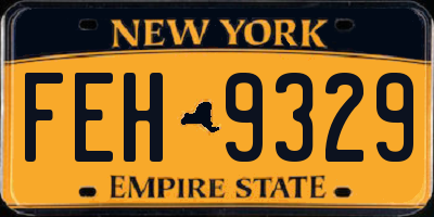 NY license plate FEH9329