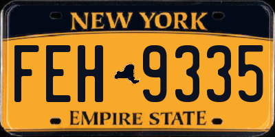 NY license plate FEH9335