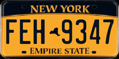 NY license plate FEH9347