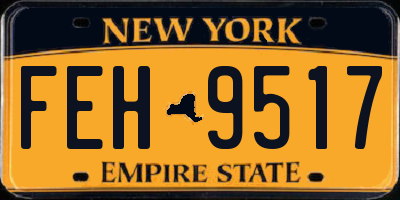 NY license plate FEH9517