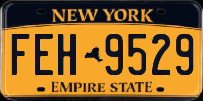 NY license plate FEH9529