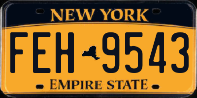 NY license plate FEH9543