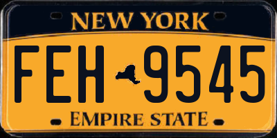 NY license plate FEH9545