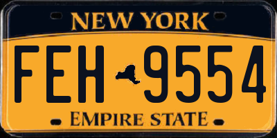 NY license plate FEH9554