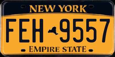 NY license plate FEH9557