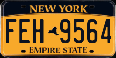 NY license plate FEH9564