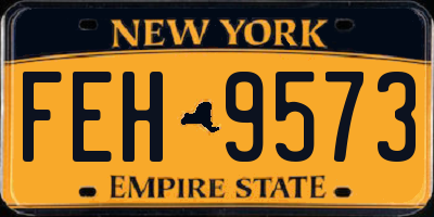 NY license plate FEH9573