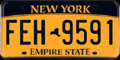 NY license plate FEH9591