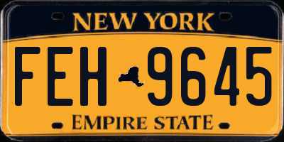 NY license plate FEH9645