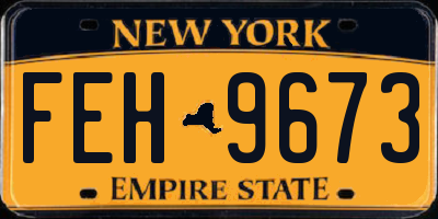 NY license plate FEH9673