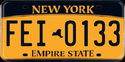 NY license plate FEI0133