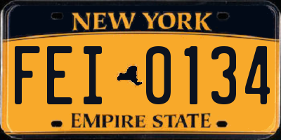 NY license plate FEI0134