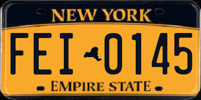 NY license plate FEI0145