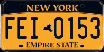 NY license plate FEI0153
